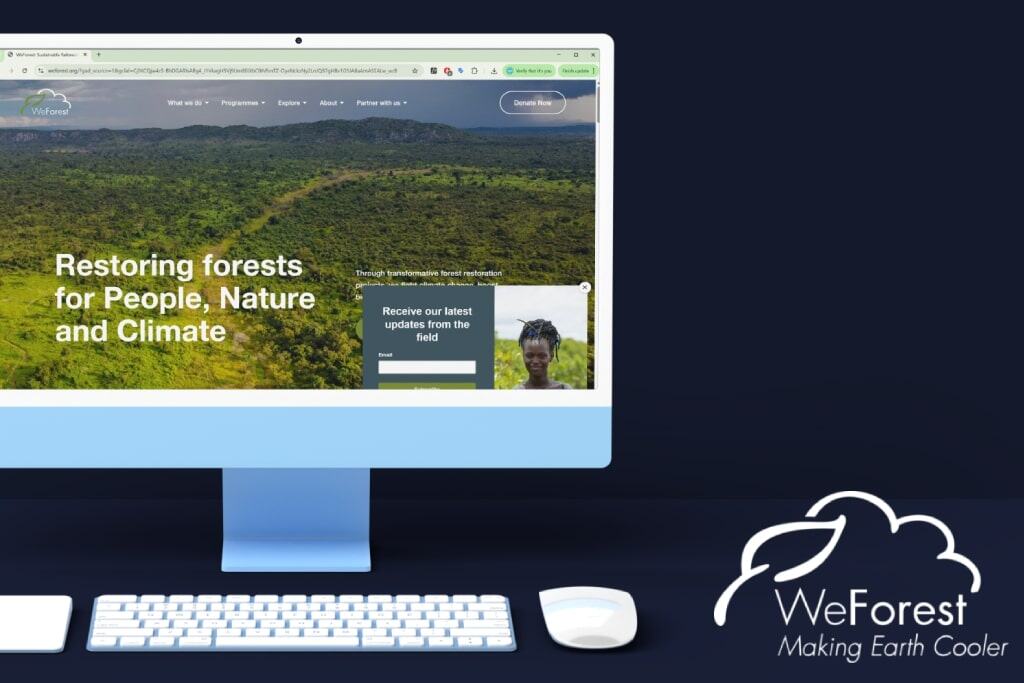 Google Ads campaigns for WeForest environmental NGO